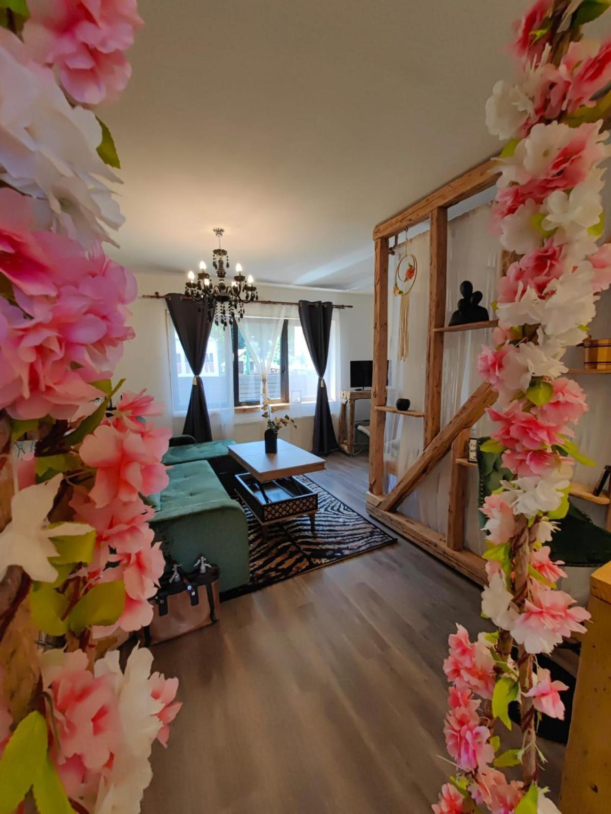 Hotel Casa Anne Boutique à Braşov Extérieur photo